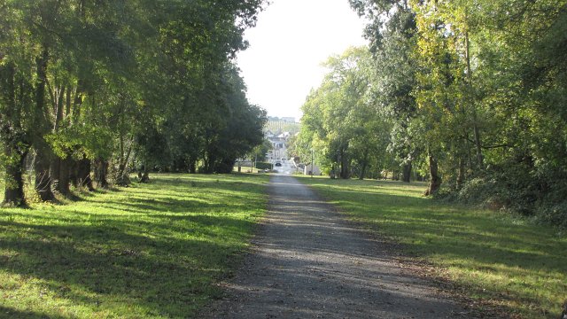 Rochefort sur loire (46)